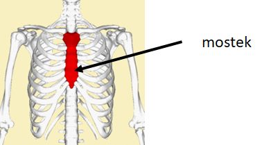 Logopedia Skype Paidalogos